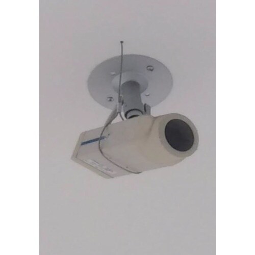 共成 落下防止ステンレスワイヤー線径2mm(2本セ