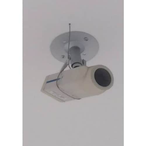 共成 落下防止ステンレスワイヤー線径2mm(10本