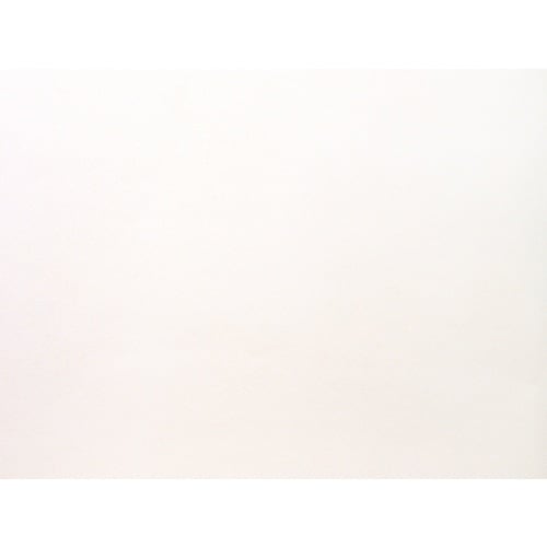 アサヒペン 簡単に貼れてキレイにはがせるカベ紙 9