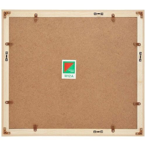 フジカラー 木製額縁 M12 アクリル 4切