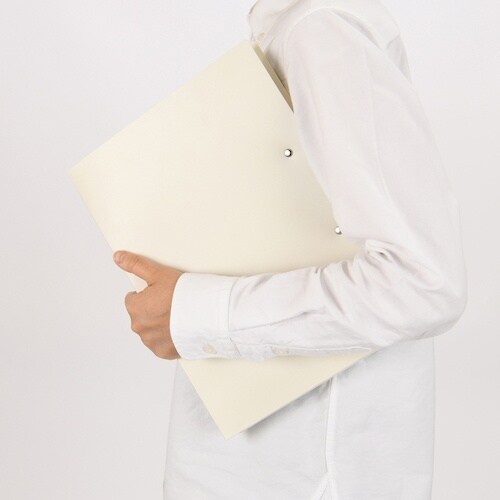 ナカバヤシ Wストッパーファイル/A4/ホワイト