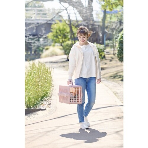 IRIS 291016 エアトラベルキャリー D5