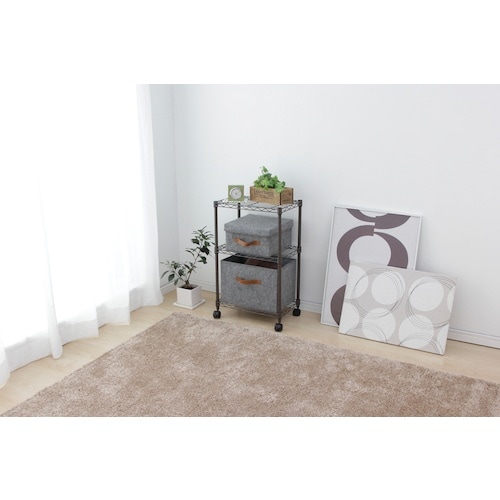 IRIS 573619 カラーメタルラック ブラウ