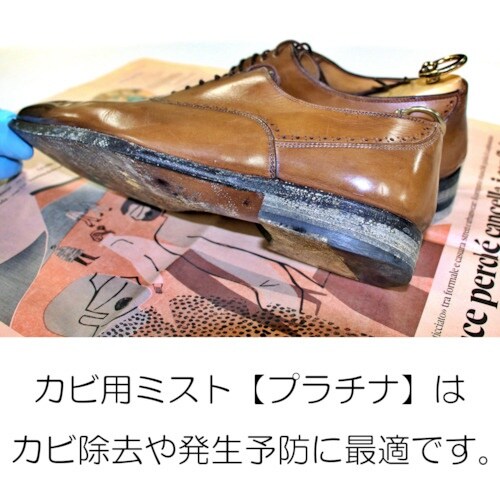 コロンブス カビ用ミスト プラチナ 100mL