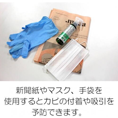 コロンブス カビ用ミスト プラチナ 100mL