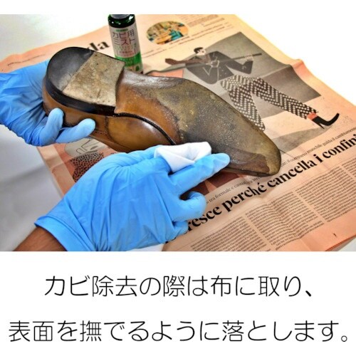 コロンブス カビ用ミスト プラチナ 100mL