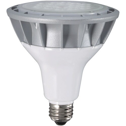 ハタヤ LED作業灯 20WLEDランプ付