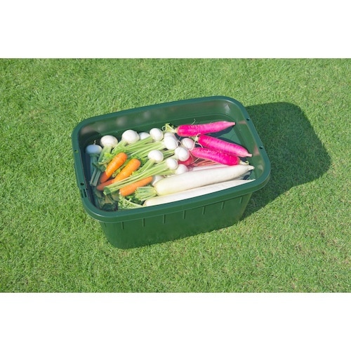 TONBO 【6/2ー8/29特価キャンペーン】角