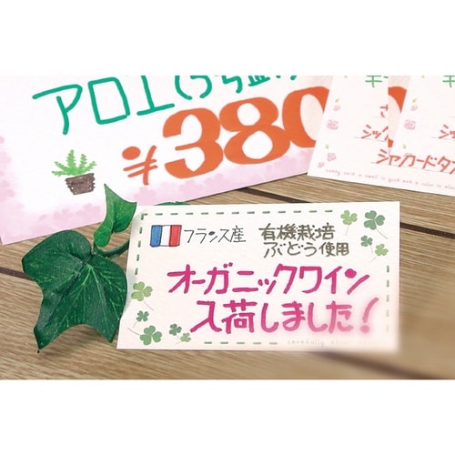 ササガワ POP ショーカード はがきサイズ クロ