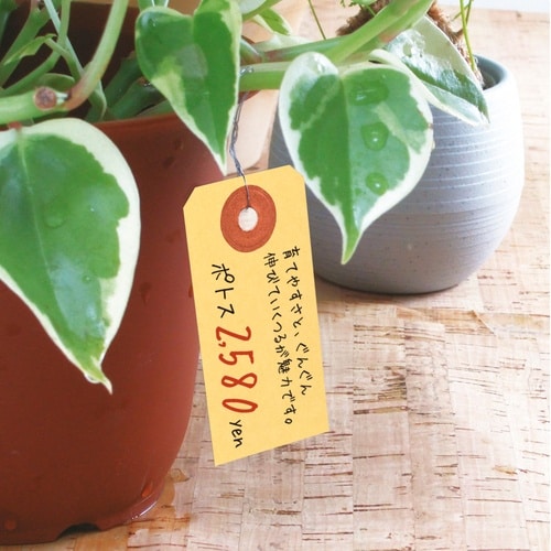 ササガワ 荷札 荷札 中 クラフト 一穴 2000