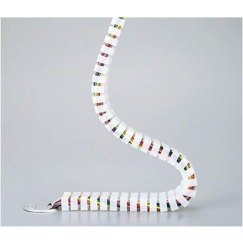 SUGATSUNE (210030897)8000