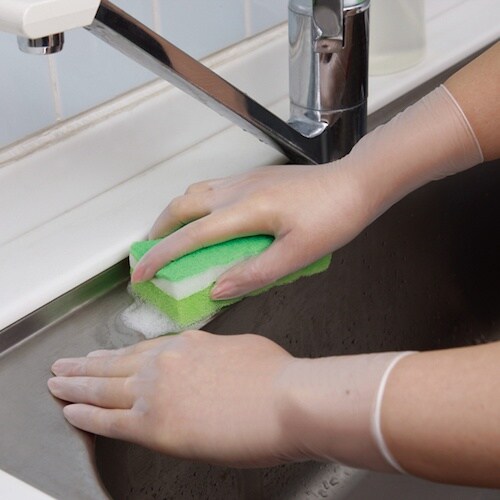 クイン クイン キッチンビニール手袋(50枚入)L