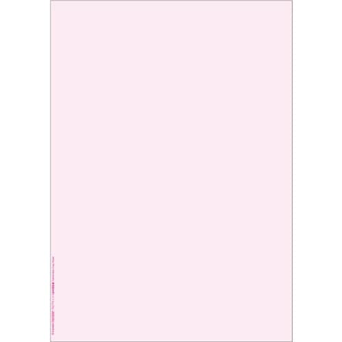 HISAGO FSC(R)認証マルチプリンタ帳票複