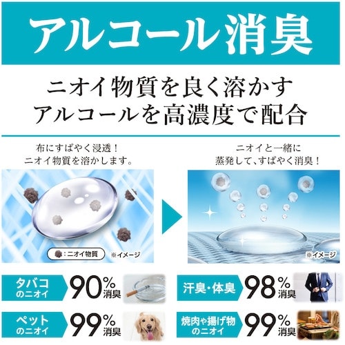 白元 ノンスメル清水香無香料 10L