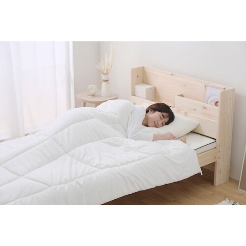 IRIS 574662 抗菌防臭・防ダニ 掛けふと