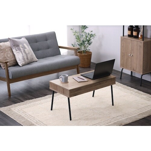 IRIS 297879 アイアンウッドセンターテー