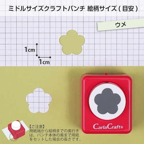 カール クラフトパンチウメ