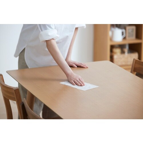 IRIS 106106 濡らして除菌ペーパータオル