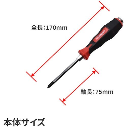 アストロプロダクツ AP 貫通プラスドライバーボル