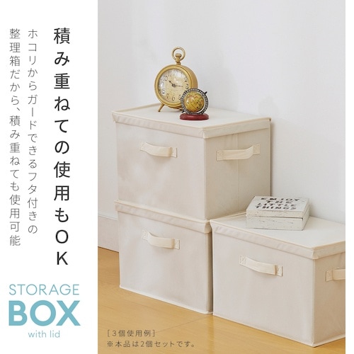 アイメディア フタ付整理箱2個setBEチェック