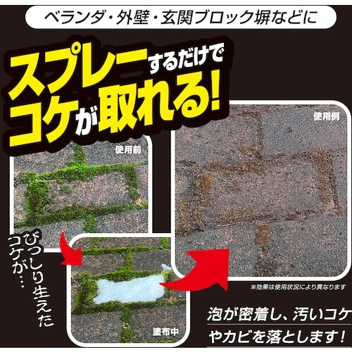 アイメディア 業務用ガチ落ちコケ・カビ取りスプレー