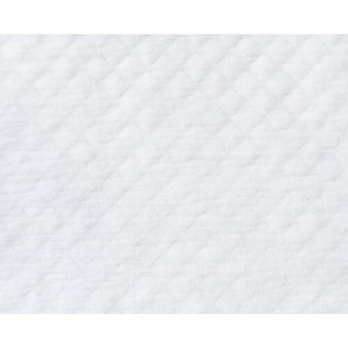 IRIS 299283 超速吸ペットシーツ ダブル