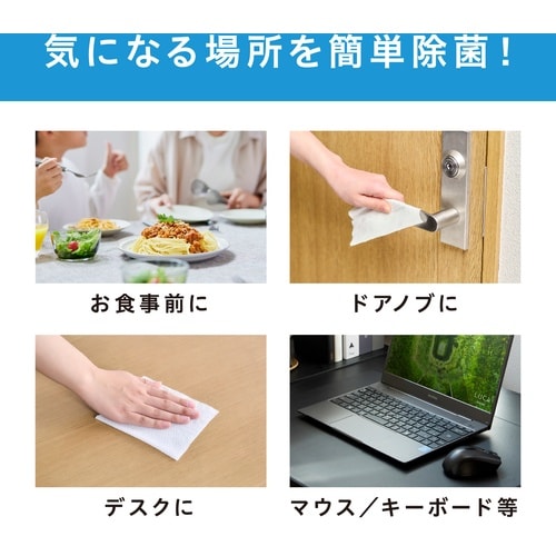 IRIS 298671 除菌ができるウェットティッ