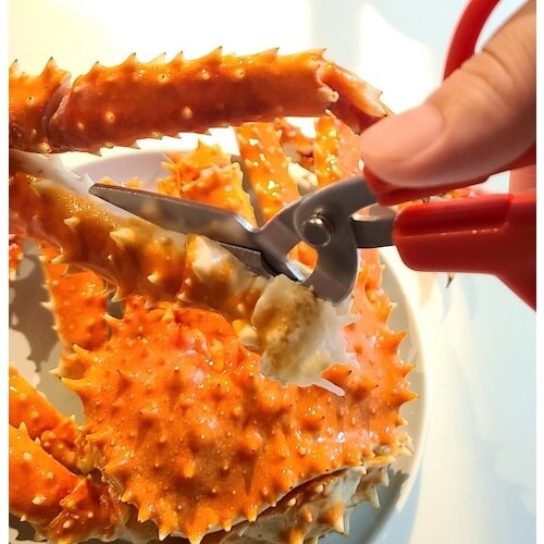 キャナリー カニ用ハサミ