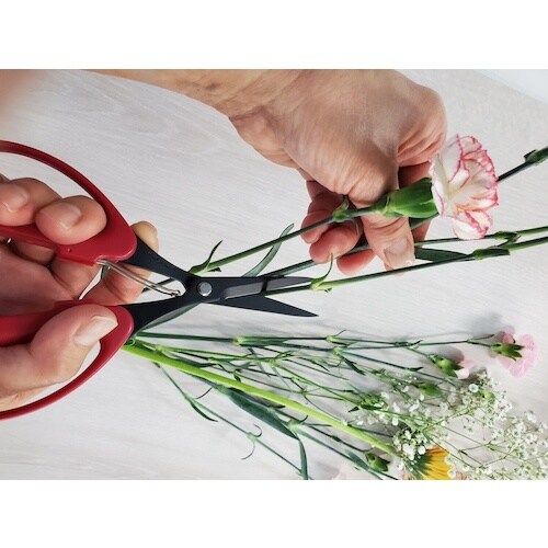 ALLEX お花はさみ