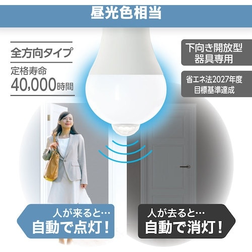 YAZAWA A形LED 40W相当 昼光色 セン