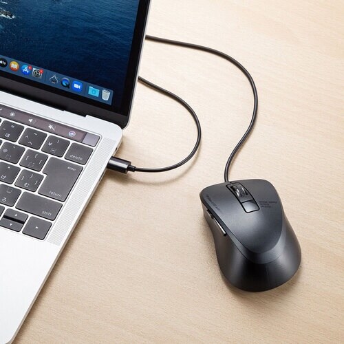 SANWA 有線Type−CブルーLEDマウス(5