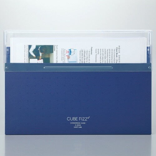 LIHIT コングレスケース A4 ピンク