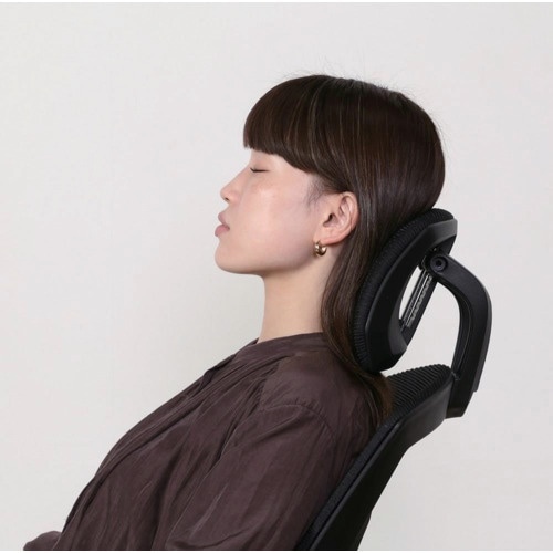 不二貿易 メッシュリクライニングチェア スリープ2