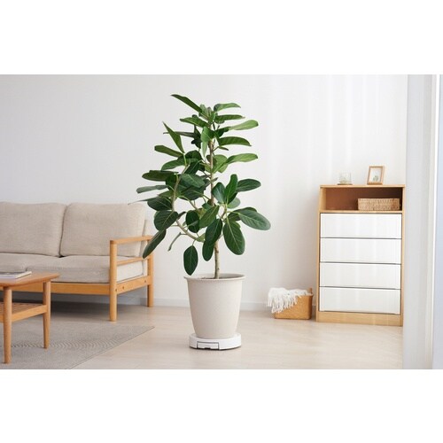 IRIS 201508 らくらく鉢受トレー ホワイ