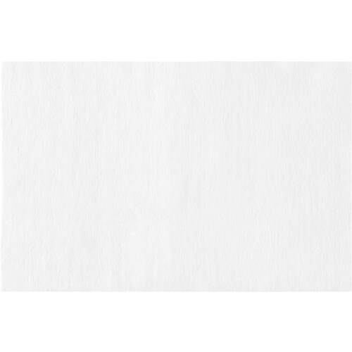 IRIS 202040 ペット用ウェットティッシュ