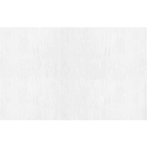 IRIS 202043 ペット用ボディタオル1P