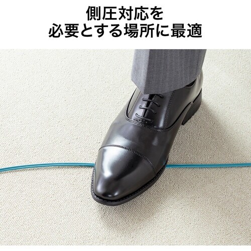 SANWA アーマードメガネ型光ファイバケーブル(