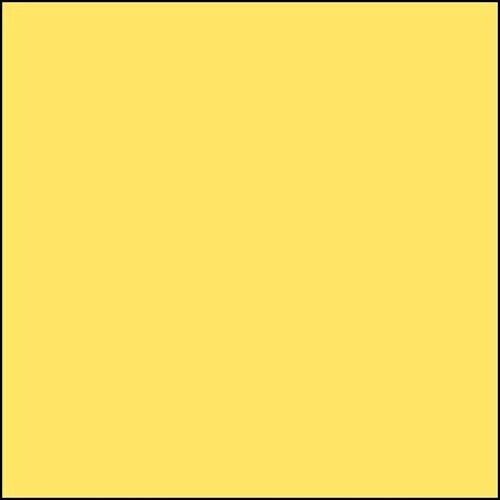 ティオリオ ティオリオ ロールスクリーン 無地ウォ