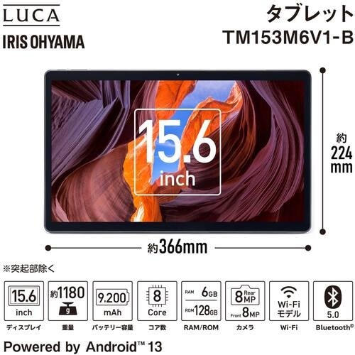 IRIS 106610 大判タブレット 15.6イ