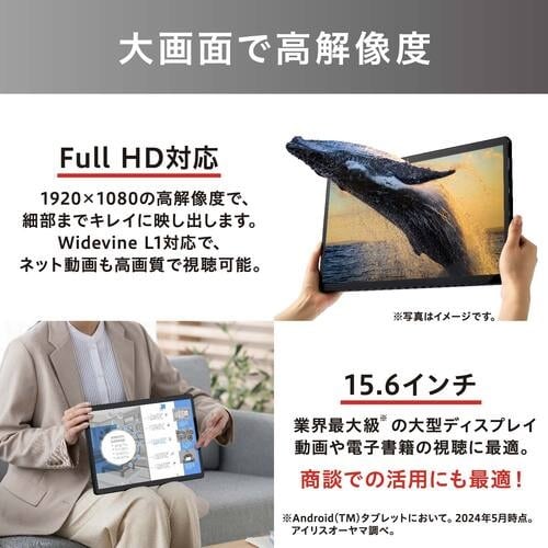 IRIS 106610 大判タブレット 15.6イ