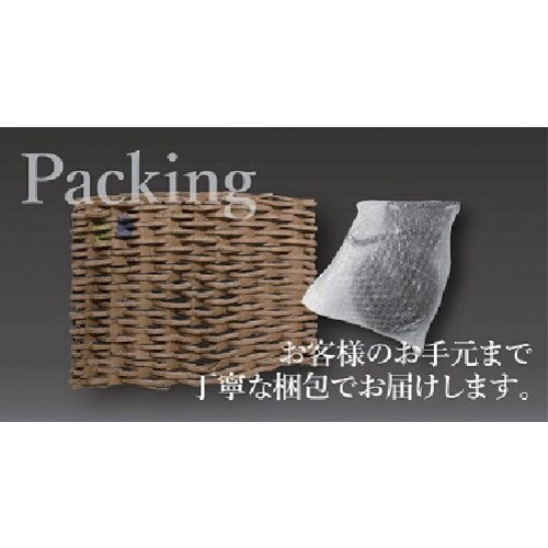 シシク プレート式キャスター(プレス製ウレタン車輪