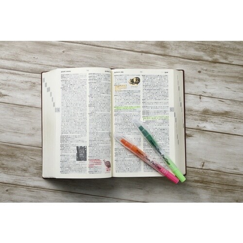 マジックインキ ギター ネオンパスライナー4色セッ