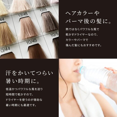 グリーンクロス BISARA スティックドライヤー