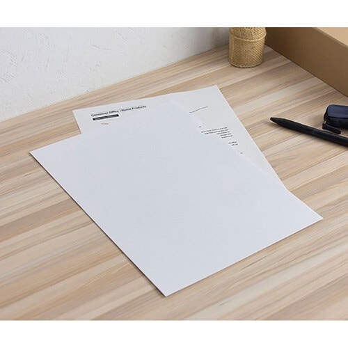 ナカバヤシ 紙製ホルダーレインガード紙仕様A4 1