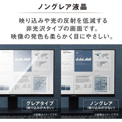 IRIS 107114 液晶ディスプレイ 21in