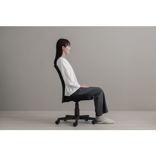 IRIS 108499 メッシュバックチェア ブラ