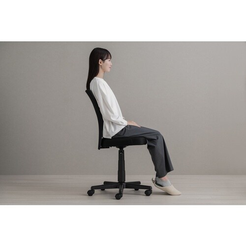 IRIS 108499 メッシュバックチェア ブラ