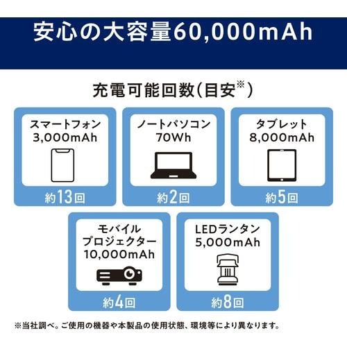 IRIS 107245 バッテリーステーション