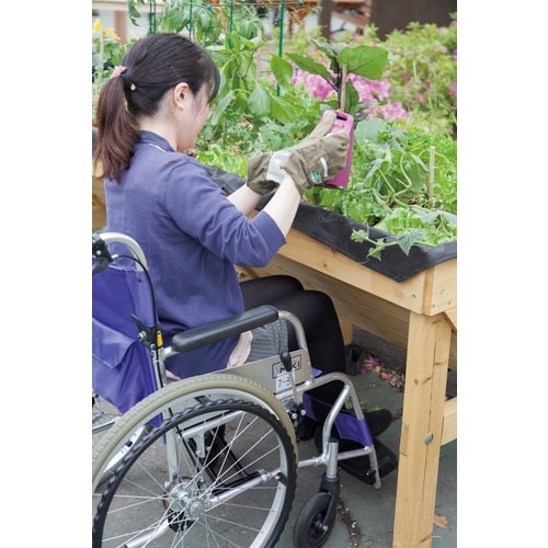 タカショー 園芸用品 ホームベジトラグ L