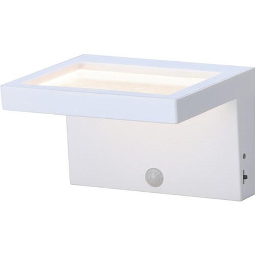 IRIS 108062 乾電池式LEDセンサーライ